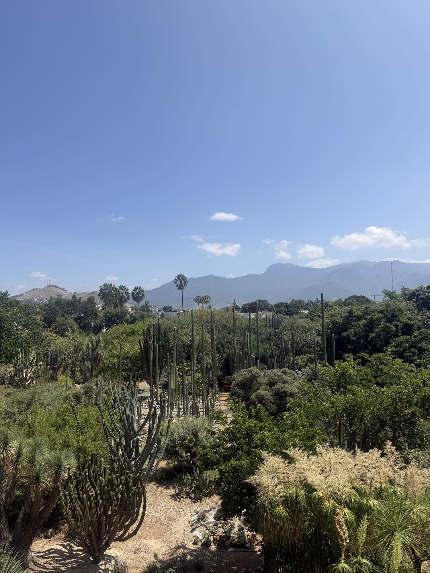 Botanischer Garten hinter dem Kloster