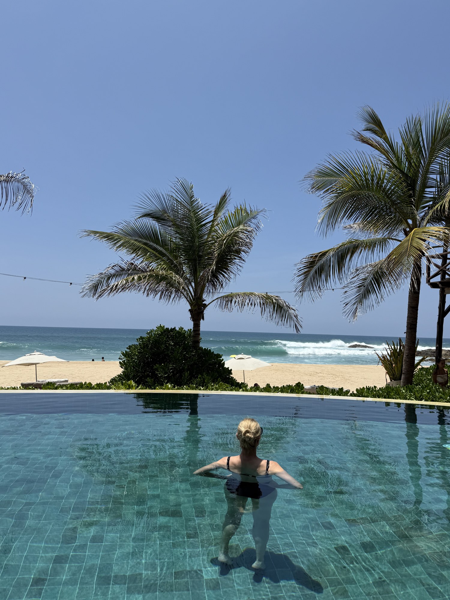 Im Pool unter Palmen